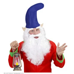 Kaboutermuts Blauw -Kostuums Met Halloween-Thema 0386B b