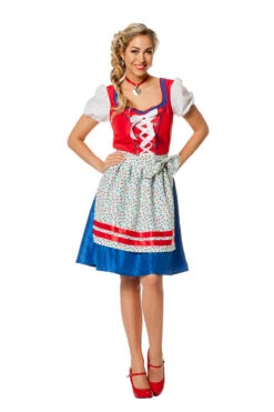 Dirndl Jurk Rood/blauw