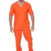 Jailbird -Kostuums Met Halloween-Thema 10908 5009 XX 10