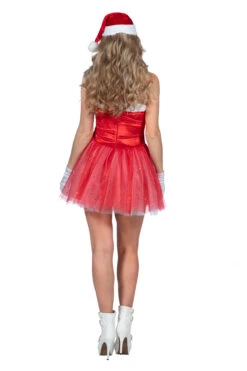 Kerstvrouw Met Tule -Kostuums Met Halloween-Thema 11283 682 XX 30