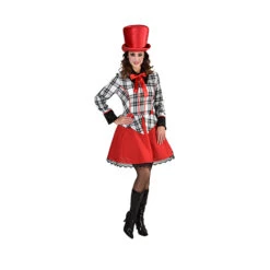 Dickens Jurkje / Clownsjurk Geruit 220185