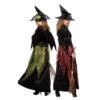 Luxe Heks -Kostuums Met Halloween-Thema 320445 a 320445 a en b 30 1