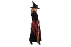 Luxe Heks -Kostuums Met Halloween-Thema 320445 b 320445 b 30