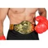 Champions Belt