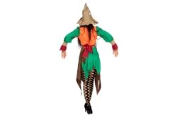 Jurk Vogelverschrikker -Kostuums Met Halloween-Thema 4907 xx 4907 xx 30