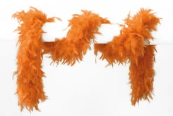 Boa 65gram 180cm Lang -Kostuums Met Halloween-Thema 9928 21000 07 10