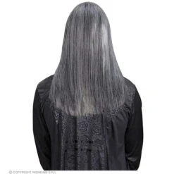 Pruik Droomhaar, Victor Grijs -Kostuums Met Halloween-Thema N9204 d