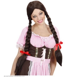 Pruik, Lange Vlechten Bruin