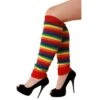 Beenwarmers Regenboog