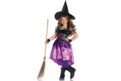 Heks Spinnenweb Jurkje