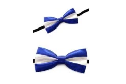 Luxe Strik Blauw-wit