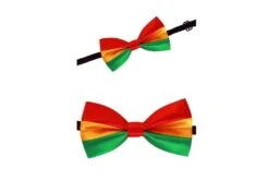 Luxe Strik Rood-geel-groen