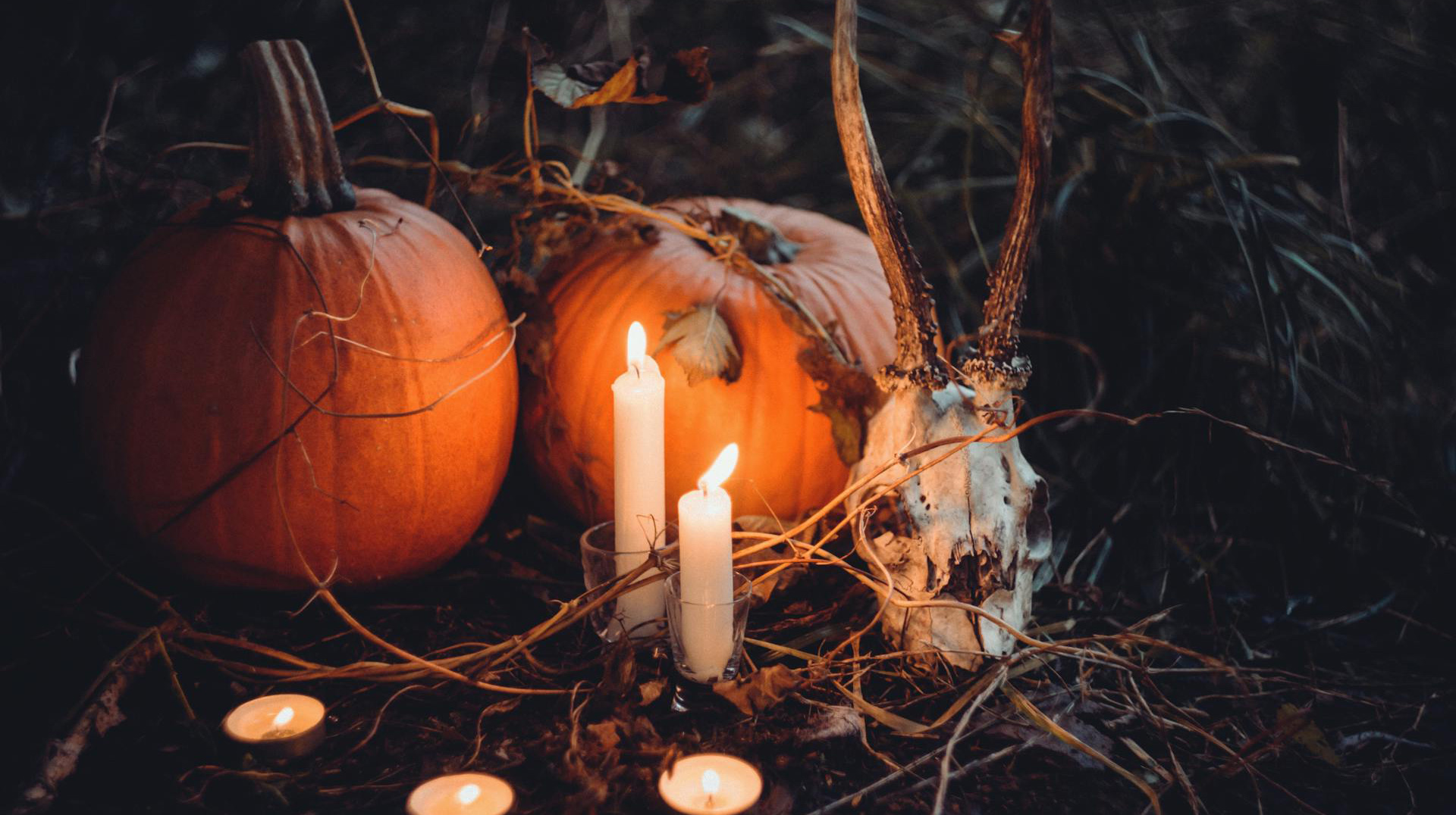 Kostuums Met Halloween-Thema -Kostuums Met Halloween-Thema pexels freestocks 632044